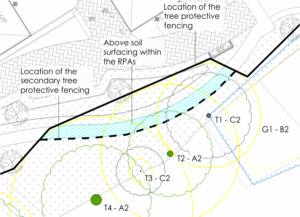 Tree Protection Plan Above Soil
